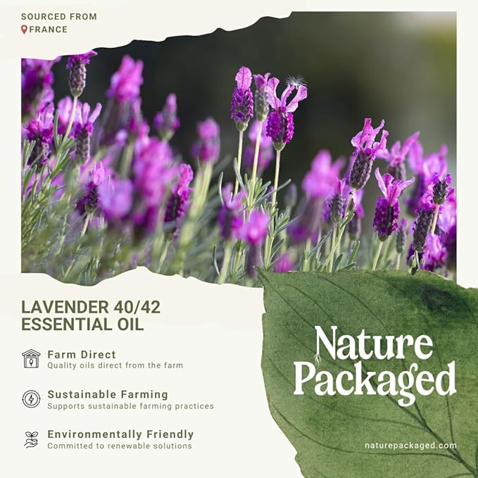Lavender 40/42 Essential Oil Direct from France