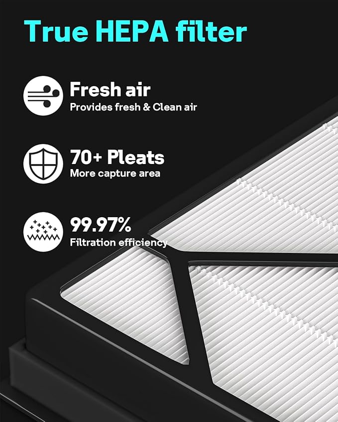 Leemone True HEPA Filter Replacement