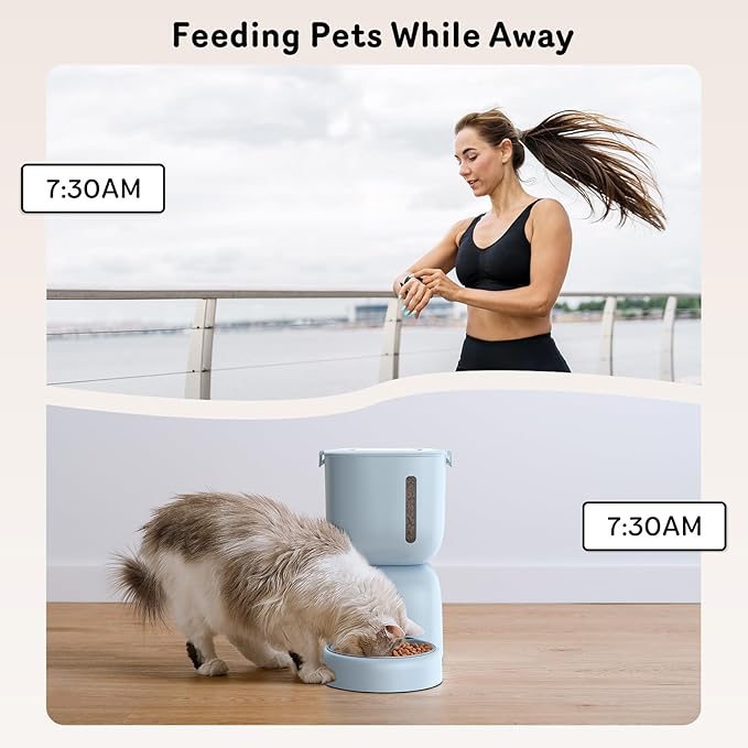 Automatic Cat Feeder and Water Dispenser FW1, Wire or Battery Cat Food