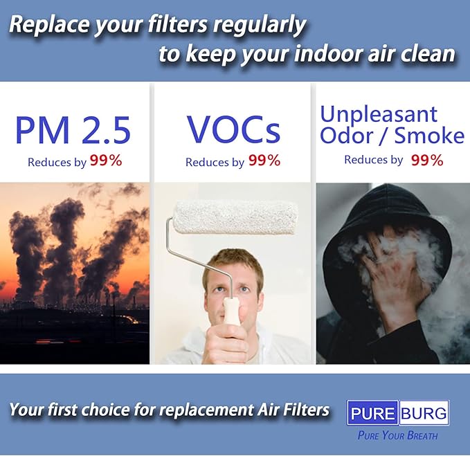 PUREBURG Replacement Filter Set Compatible