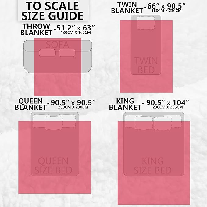 Friends TV Show Heated Blanket Electric, Queen Size Luxurious Fleece Blanket