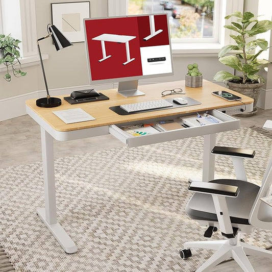Standing Desk with Drawer, Electric Height Adjustable Home Office Desk with