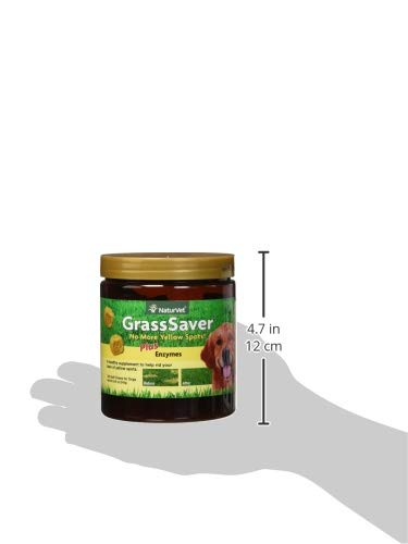 NaturVet – GrassSaver Supplement for Dogs – Healthy Supplement to Help Rid Your Lawn of Yellow Spots – Synergistic Combination of B-Complex Vitamins & Amino Acids – 120 Soft Chews