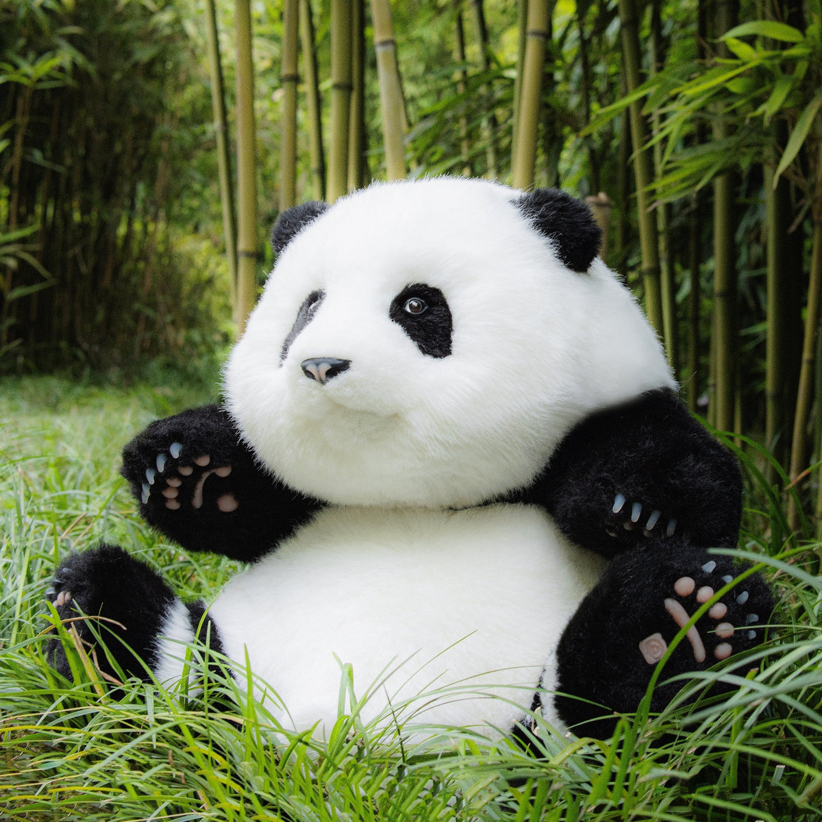 Panda Hehua 4.6lb Plush– Calm Companion Mindful Relax