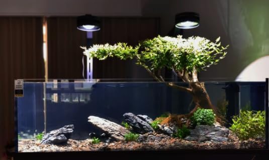 Natural Rocks Seiryu Stones Aquariums Stones for Aquascaping, Aquariums, Terrariums, Vivariums Decorative Stone,Reptile Enclosures,Paludariums,and Gardens-10LB（2 to 7 inch）