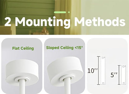 Gaizw 52 Inch Ceiling Fans