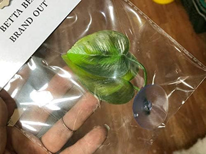 CousDUoBe 3 Pack Betta Fish Leaf Pad Improves Betta's Health by Simulating The Natural Habitat - Natural, Organic, Comfortable Rest Area for Fish Aquarium Ornaments
