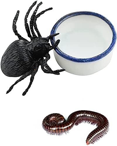 Tarantula Micro Water Bowl Spider Anti-Turnover Bowl for Small Hamster Tarantula Spider Scorpion Cricket Snail Manti Millipede Tiny Bugs Reptile Terrarium Cage Accessories (M (1.18''dia),8 Pcs)