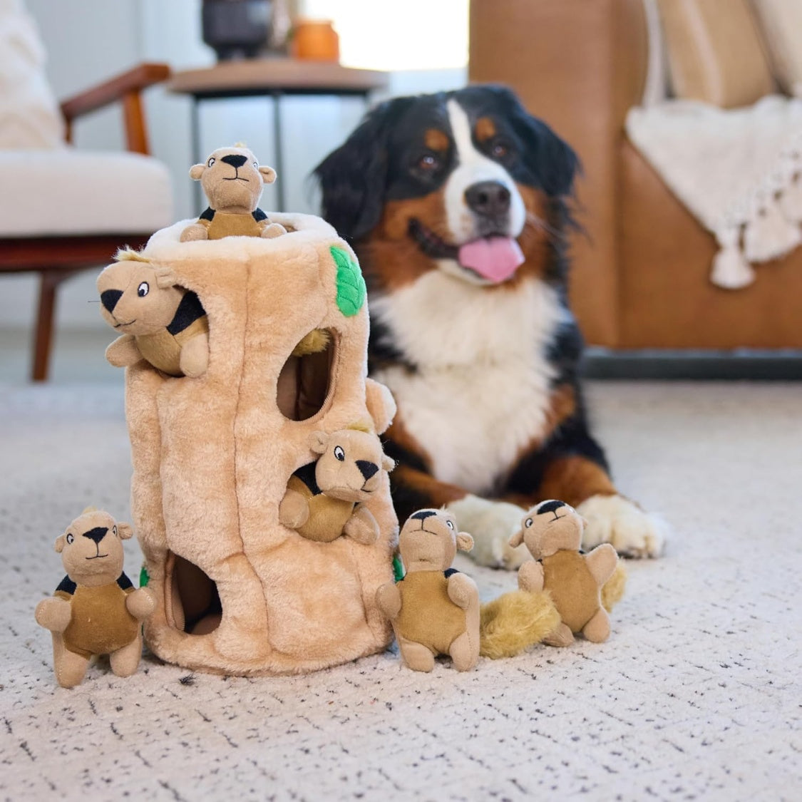 Squirrel Dog Toy  Interactive 2in1 Plush Puzzle With 6 Squeaky Removable Squirrels