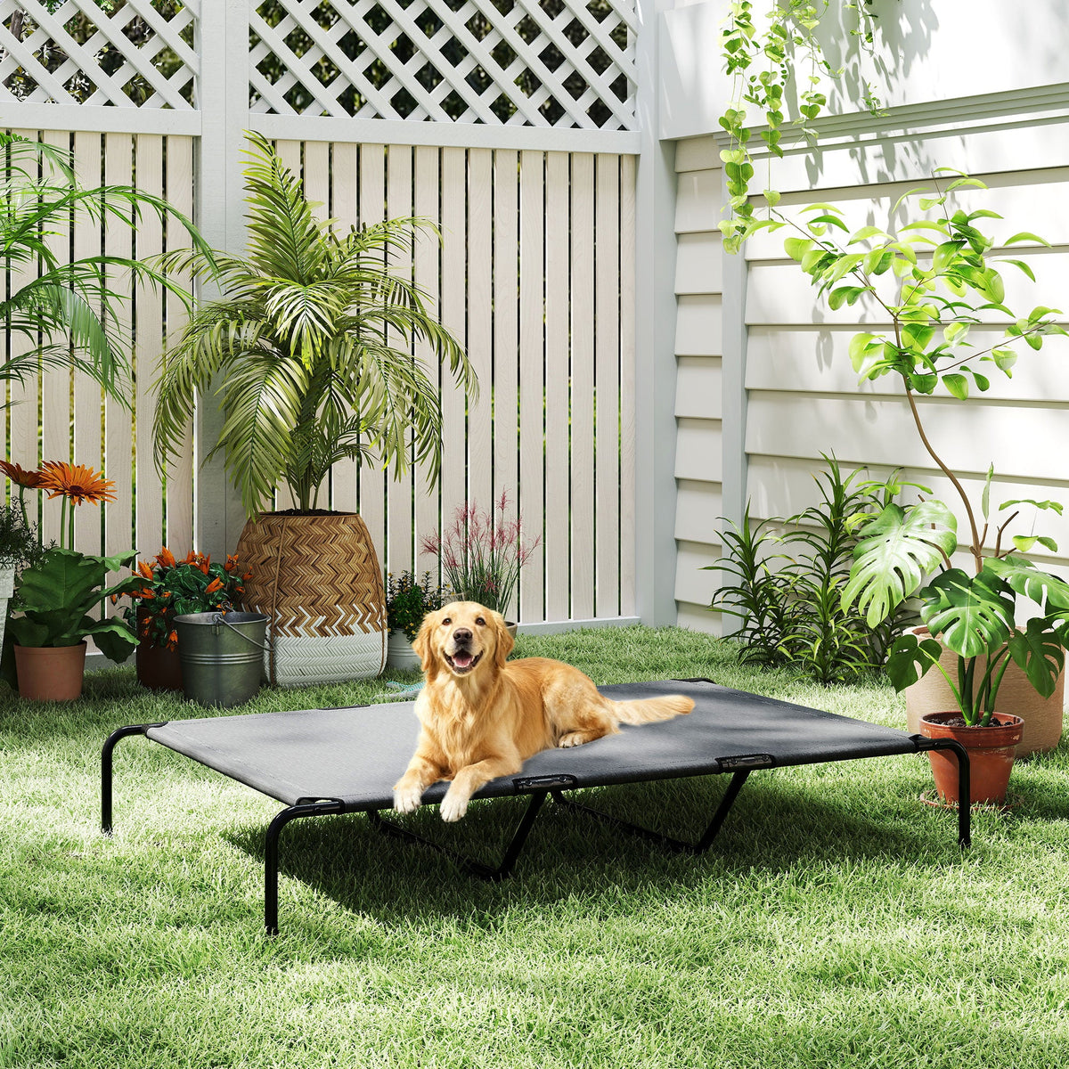 Elevated Dog Bed for Large Breeds Gray 60"L