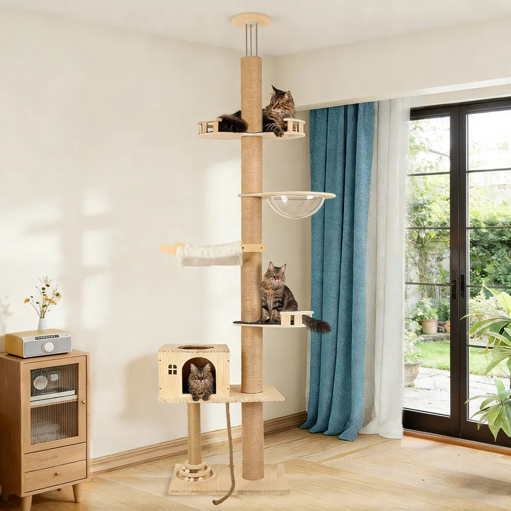 Floor To Ceiling Cat Tree, 6 Level Adjustable Height Climbing Tower With Thickened Scratching Posts, Cats Activity Center With Transparent Capsule And Cozy Hammock