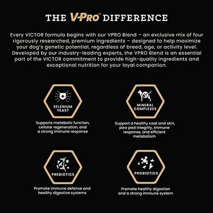 VICTOR Super Premium Dog Food – Grain Free Yukon River Canine – Supports Immune & Digestive Health for Dogs of All Life Stages – High Protein Dry Dog Food for All Normally Active Dogs, 30 lb