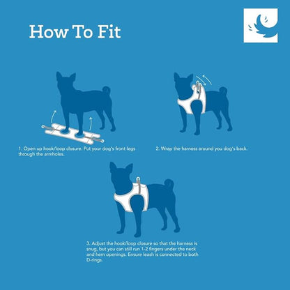 RC Pets Step in Cirque Harness XL Mulberry