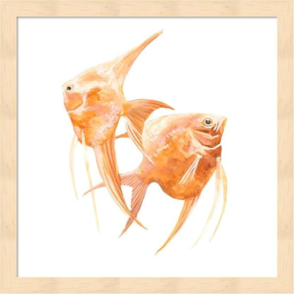 Discus Fish I & III by Emma Scarvey, 2 Piece Natural Framed Art Set, 13 X 13 Inches Each, Sea Life Art