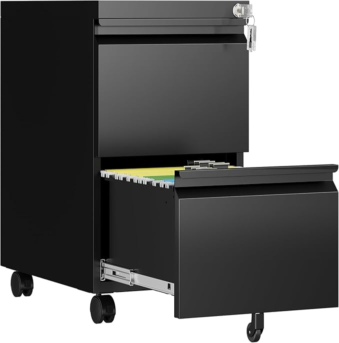 2 Drawer File Cabinet with Lock, Rolling File Cabinets