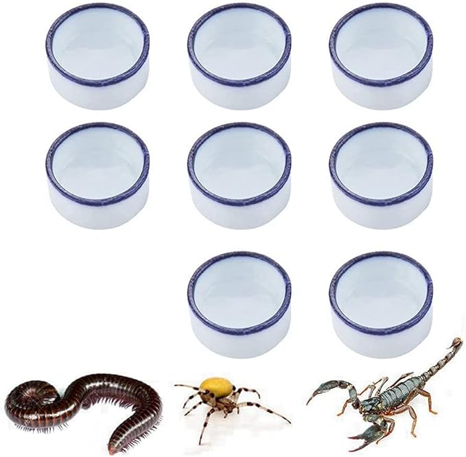 Tarantula Micro Water Bowl Spider Anti-Turnover Bowl for Small Hamster Tarantula Spider Scorpion Cricket Snail Manti Millipede Tiny Bugs Reptile Terrarium Cage Accessories (M (1.18''dia),8 Pcs)