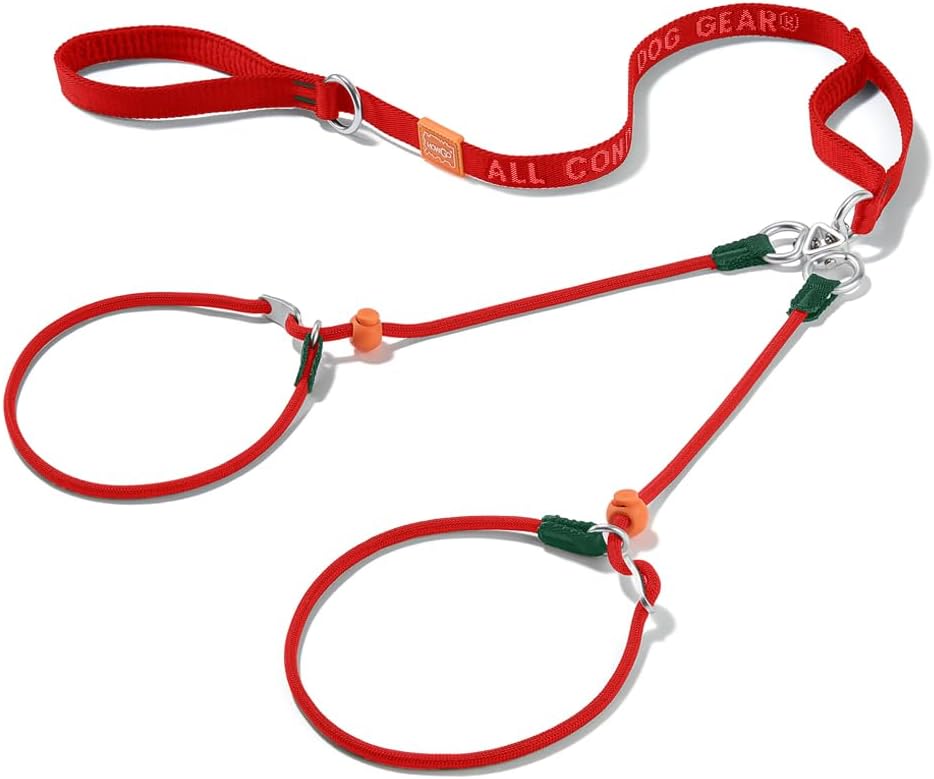 Howgo Double Slip Leash Slip Lead with Two Handles| Dual Dog Slip Lead for 2 Dogs,360° Swivel No Tangle | Dog Training Collar | Double Clip Leash Coupler and Splitter (Red, 6FT)