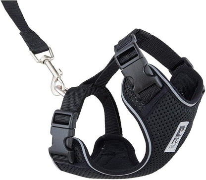 RC Pets Adventure Kitty Harness Includes Adjustable, Airmesh Fabric, 6' Leash and D-Ring Cat Walking Harness | Black, Small