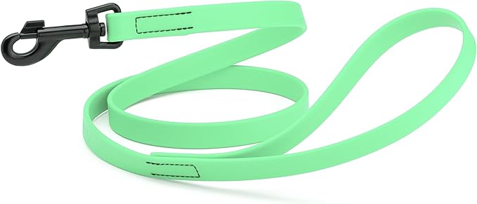 Dogline Biothane Waterproof Dog Leash Strong Coated Nylon Webbing with Black Hardware Odor-Proof Easy to Clean High Performance for Small or Large Dogs Made in USA 4 or 6 ft Lead, Sea Foam Green