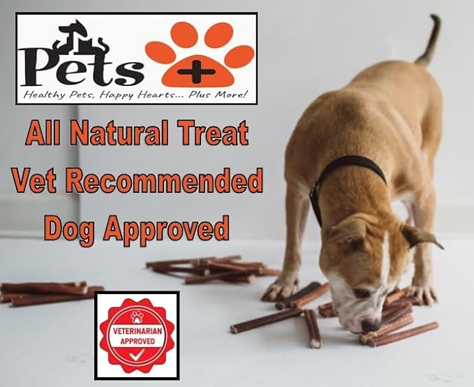 Pets Plus Premium Bart's Bully Sticks for Dogs – 6 Inch, Medium Size, All-Natural, Long-Lasting Chews for Moderate Chewers – High Protein, Low Odor, Grain-Free (10-Pack)