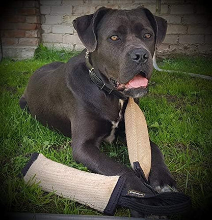 Dingo Gear Tug Toy for Dog Training Agility Tug of War, Jute Dog Bumper with one Handle, Dog Bite Pillow for Aggressive Chewers, 11" S00145