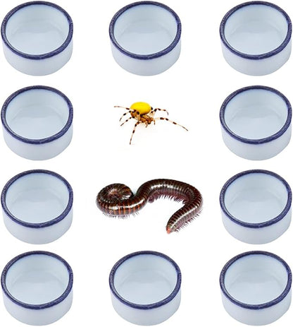 10 Pcs Spider Micro Water Bowl Mini Ceramic Dish for Tiny Reptile Spider Millipede Tarantula (Small Size: 0.86" D, 0.43" H)
