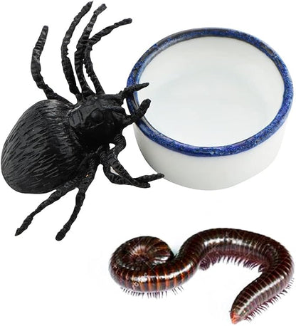 10 Pcs Spider Micro Water Bowl Mini Ceramic Dish for Tiny Reptile Spider Millipede Tarantula (Small Size: 0.86" D, 0.43" H)