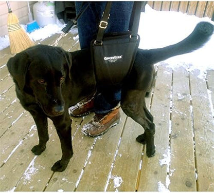 Dog Sling Hind Leg Support, M/LG Unisex with Cutout, Made in USA | Help Pets Walk, K9s Recover from Surgery, Fits Male & Female, Integrated Leash, Machine Wash/Dry, Chest Harness NOT Included
