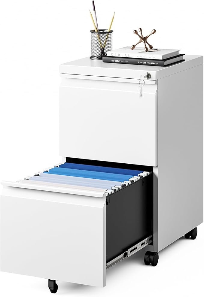 MIIIKO 2 Drawer File Cabinet on Wheels, Home Office Mobile File Drawers Under