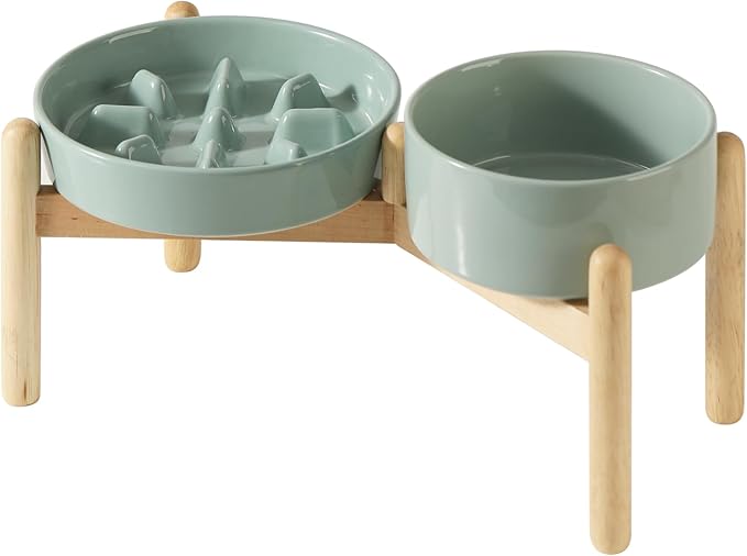 Ceramic 1.2 Cup Raised Slow Feeder Dog Bowl Set, Elevated 6.1inch Bowl and