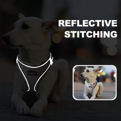 haapaw Dog Harness with Leash Set, No Pull Adjustable Reflective Step-in Puppy Harness with Thickened Padded Vest for Extra-Small/Small Medium Dogs