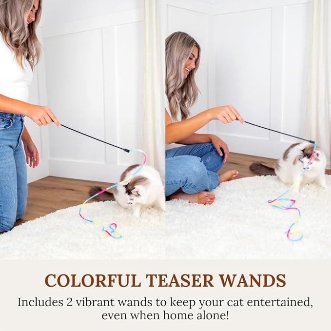 Cat Toys Set Cat Fishing Pole Retractable Wand Suction Cup & Hanging Teaser Wand for Indoor Cats & Kittens Feather Attachments Ribbon