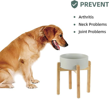 Ceramic 8.2inch Raised Dog Bowl Set, Elevated Feeder