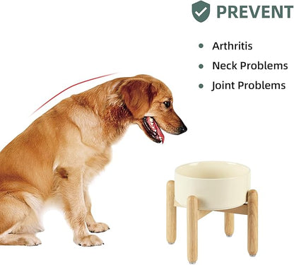 Ceramic 7.3inch Raised Dog Bowl Set, Elevated
