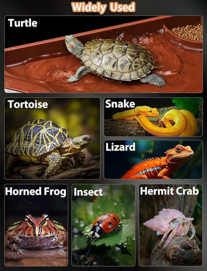 Tortoise Water Bowl with Ramp, 3PCS Leaf Reptile Food Water Bowl Turtle Pool Reptile Water Dish Tortoise Bathing Pool Turtle Soaking Dish Aquarium Habitat Accessories Small