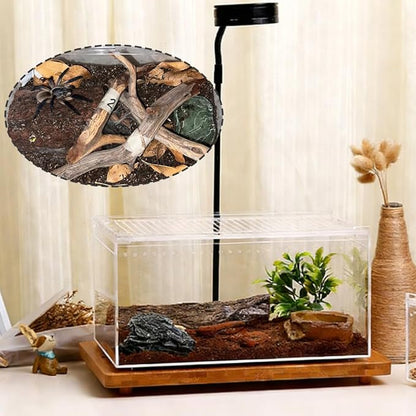 Acrylic Reptile Enclosure, No Assembly Small Reptile Breeding Box for Insect Tarantula Hermit Crab Jumping Spider (12x8x6 in)