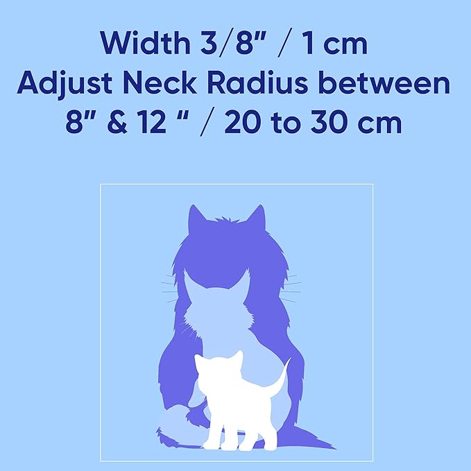 Pawtitas Glow in The Dark Cat Collar Set of 2 with Safety Buckle and Removable Bell Cat Collar Kitten Collar Blue Cat Collar + Orange Cat Collar