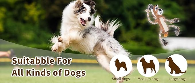 Squeaky Dog Toys Interactive Durable Rope-Infused Lion Shape Puppy Chew Toys for Small, Medium and Big Dogs
