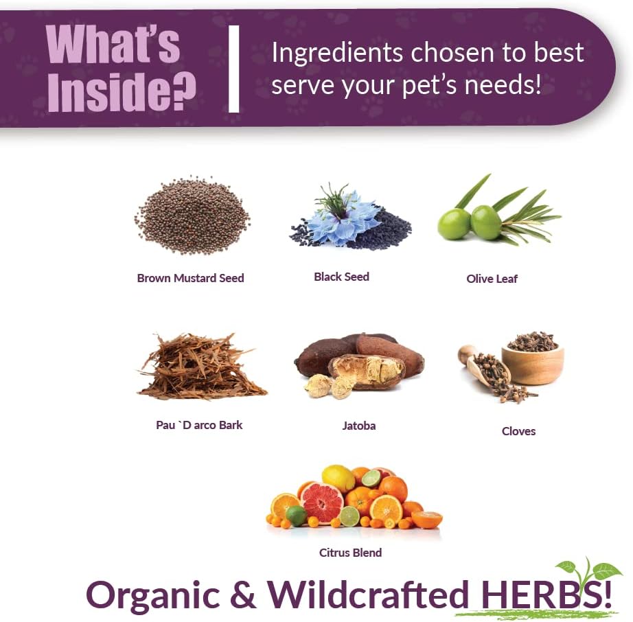 Amber NaturalZ Vibactra Plus Herbal Supplement for Dogs, Cats, Birds, Guinea Pigs, and Rabbits | Herbs for Immune Health and Yeast Balance | 4 Fluid Ounce Glass Bottle