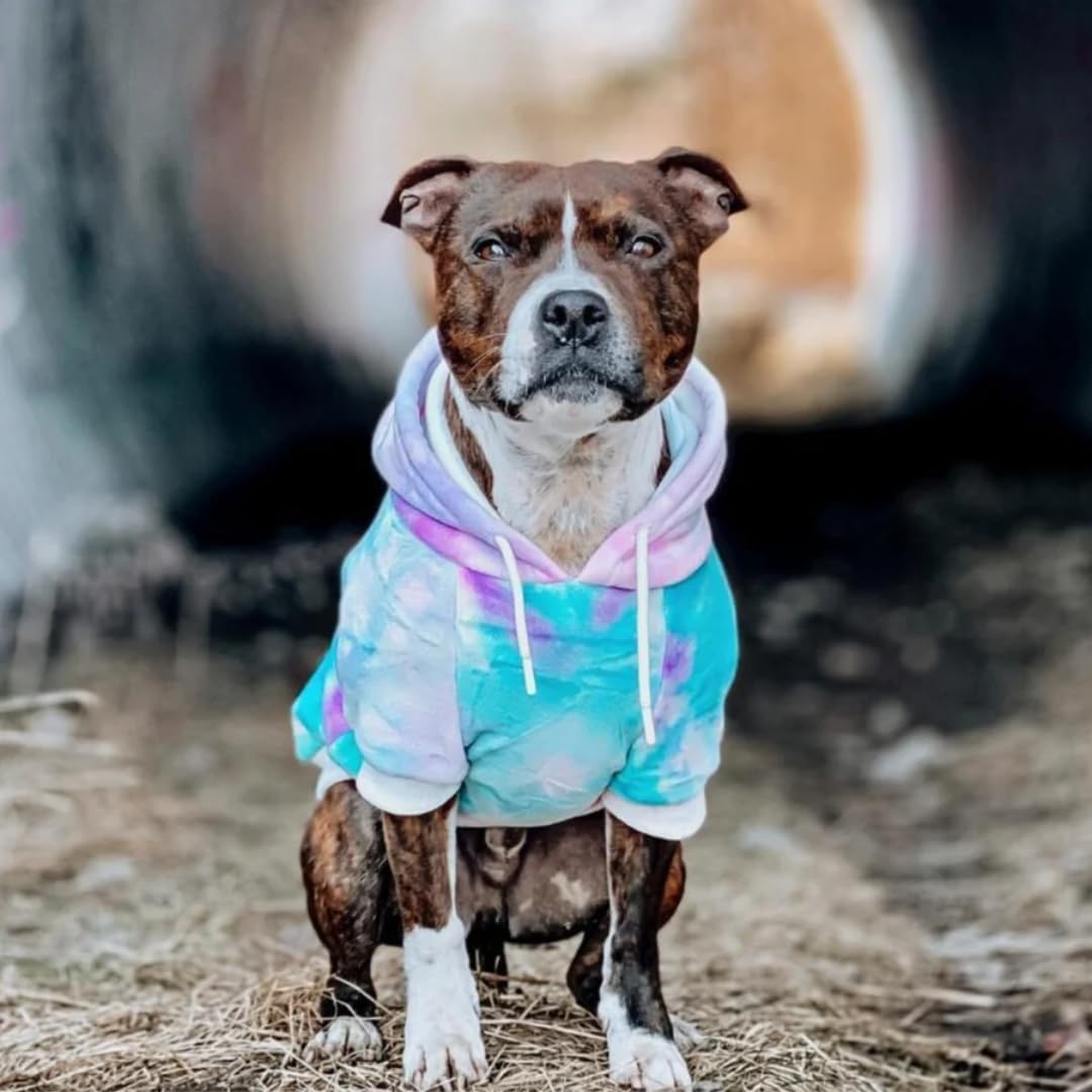 Spark Paws Dog Hoodie – Premium Dog Sweater for Small, Medium, and Large Dogs | Warm Outfits for French Bulldogs, Pitbull, Puppy, Winter Jacket Alternative - 90s Retro Sky Dye - 5XL