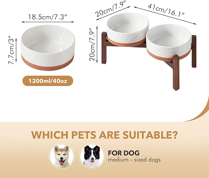 Ceramic 7.3inch Raised Double Dog Bowls Set