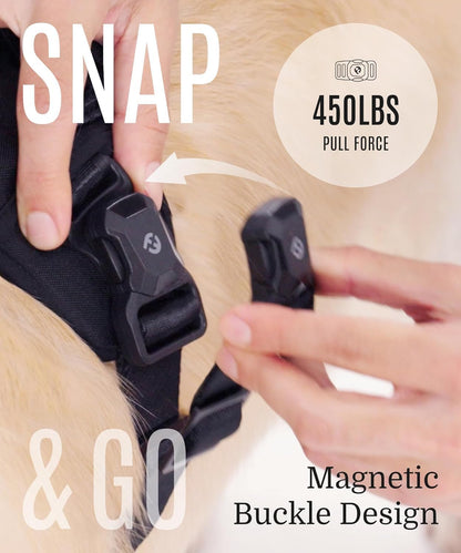 2025 New Edition, Fei & Eve MagEase Dog Harness - 3-Second Magnetic Buckles | 3-Point No-Pull Control | Heavy-Duty 900D Nylon | Dual Safety Handles | Breathable Mesh | Adjustable Fit |Small, Blue