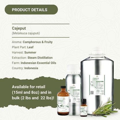 Cajeput Essential Oil