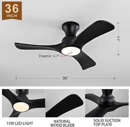 Gaizw 36 Inch Black Ceiling Fans