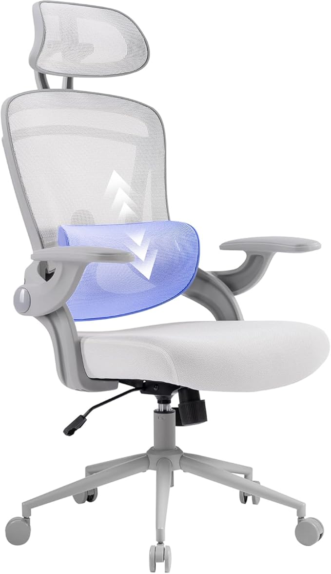 Nouhaus Ergo Fit Ergonomic Mesh Office Chair High Back Adjustable Lumbar Support Headrest and Adjustable Flip-up Armrests, Comfy Desk Chairs Swivel Computer Gaming Chair Tilt Function(N20, White)