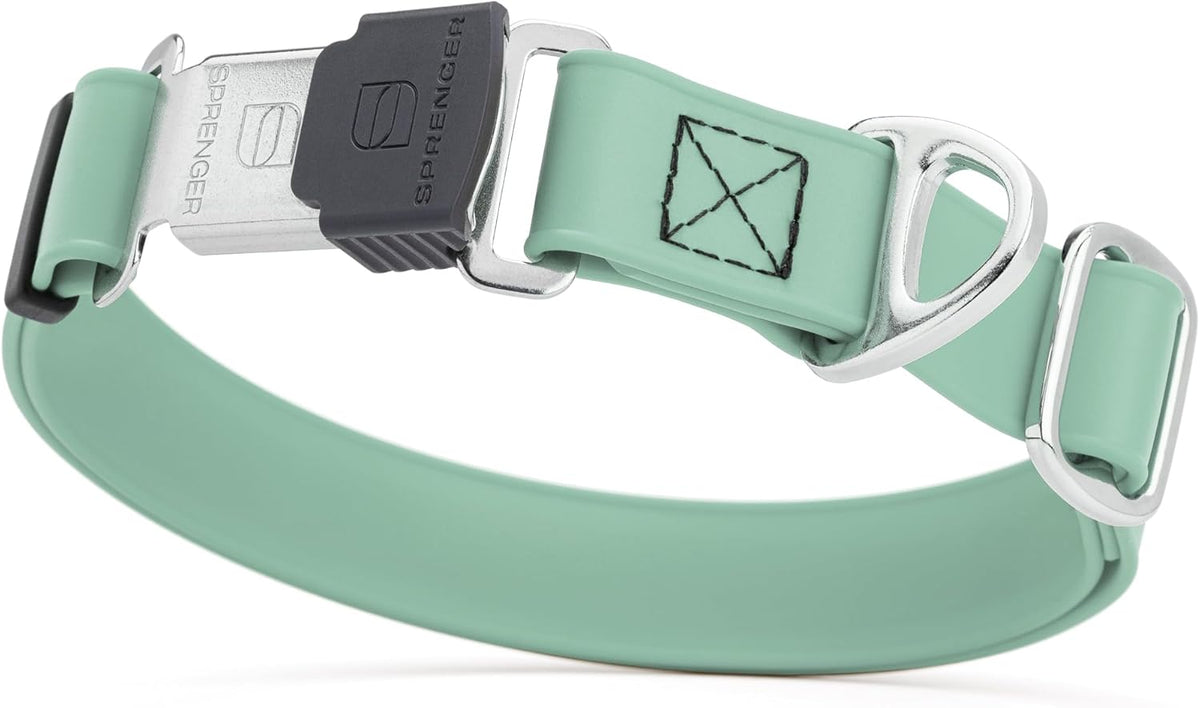 Dogline Biothane Waterproof Dog Collar with Herm Sprenger Black Stainless Steel Quick Release Buckle – Heavy Duty Tactical Durable Collar for Dogs – Comfortable, Safe Pet Collar W1 L15-25 Sage Green