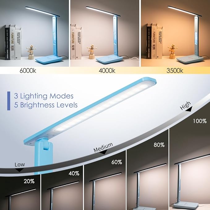 Multifunctional LED Desk Lamp