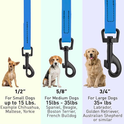 Dogline Biothane Waterproof 6ft Dog Leash Strong Coated Nylon Webbing with Black Hardware Odor-Proof Easy to Clean High Performance for Small or Large Dogs Made in USA 6ft Lead, Cerulean Blue