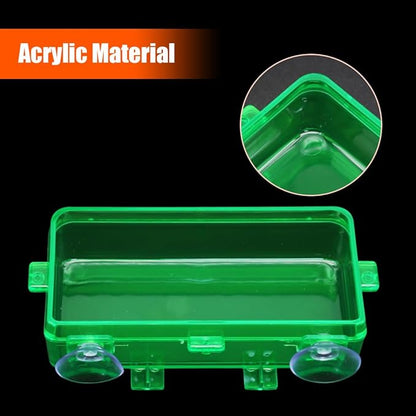 Reptile Feeder Chameleon Bowl 2 Pcs Anti-Escape Food Dish Bowl with Suction Cup for Chameleon Iguana Lizard Reptile Food and Water Feeding (Green, M)