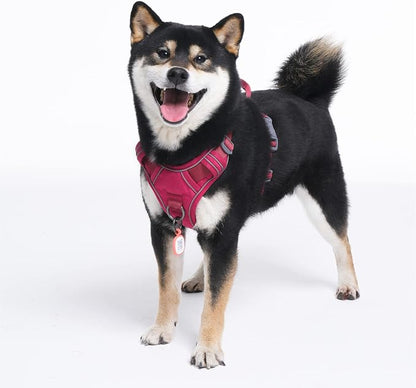Pawaii Dog Harness for Small Dogs With Pet ID Tag - No Choke, Adjustable Soft Padded Vest With Easy Control Handle